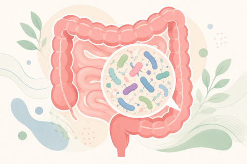 ChatGPT Image 15 lug 2026 09_49_33 | JaxPlus Illustration of the large intestine with a zoomed circular view of colorful gut bacteria (gut microbiome).