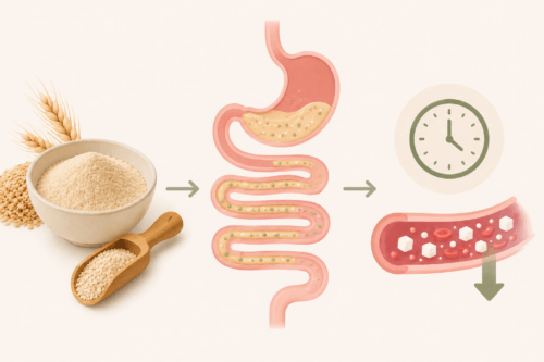 ChatGPT Image 15 lug 2026 10_10_39 | JaxPlus Diagram of grain-based food moving through the digestive tract, illustrating digestion and passage to the intestines over time (clock indicates digestion duration).